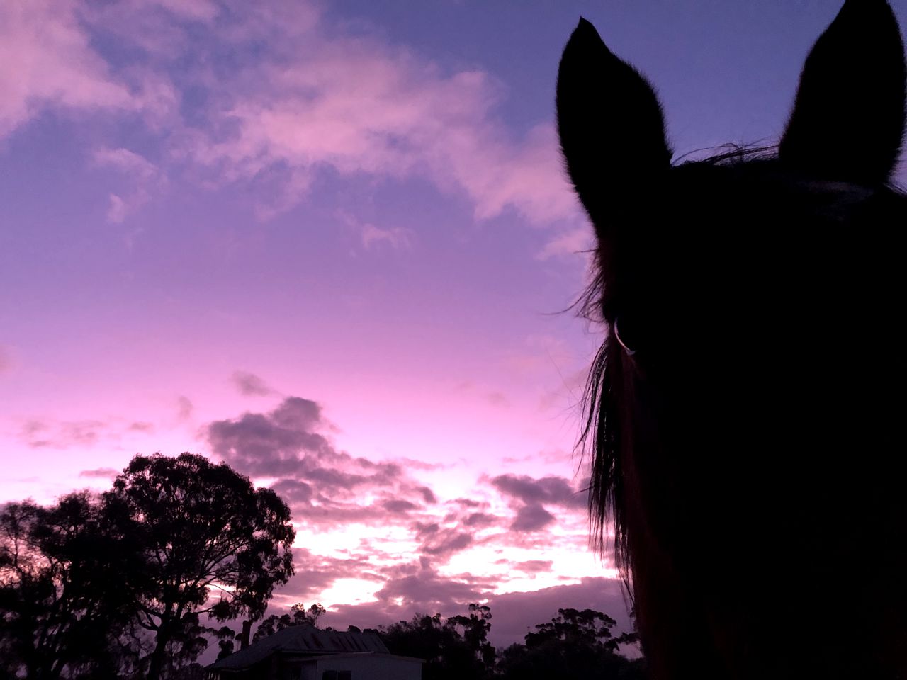 Miniature Glamping on a Victoria Farm, Ideal to Discover the Grampians