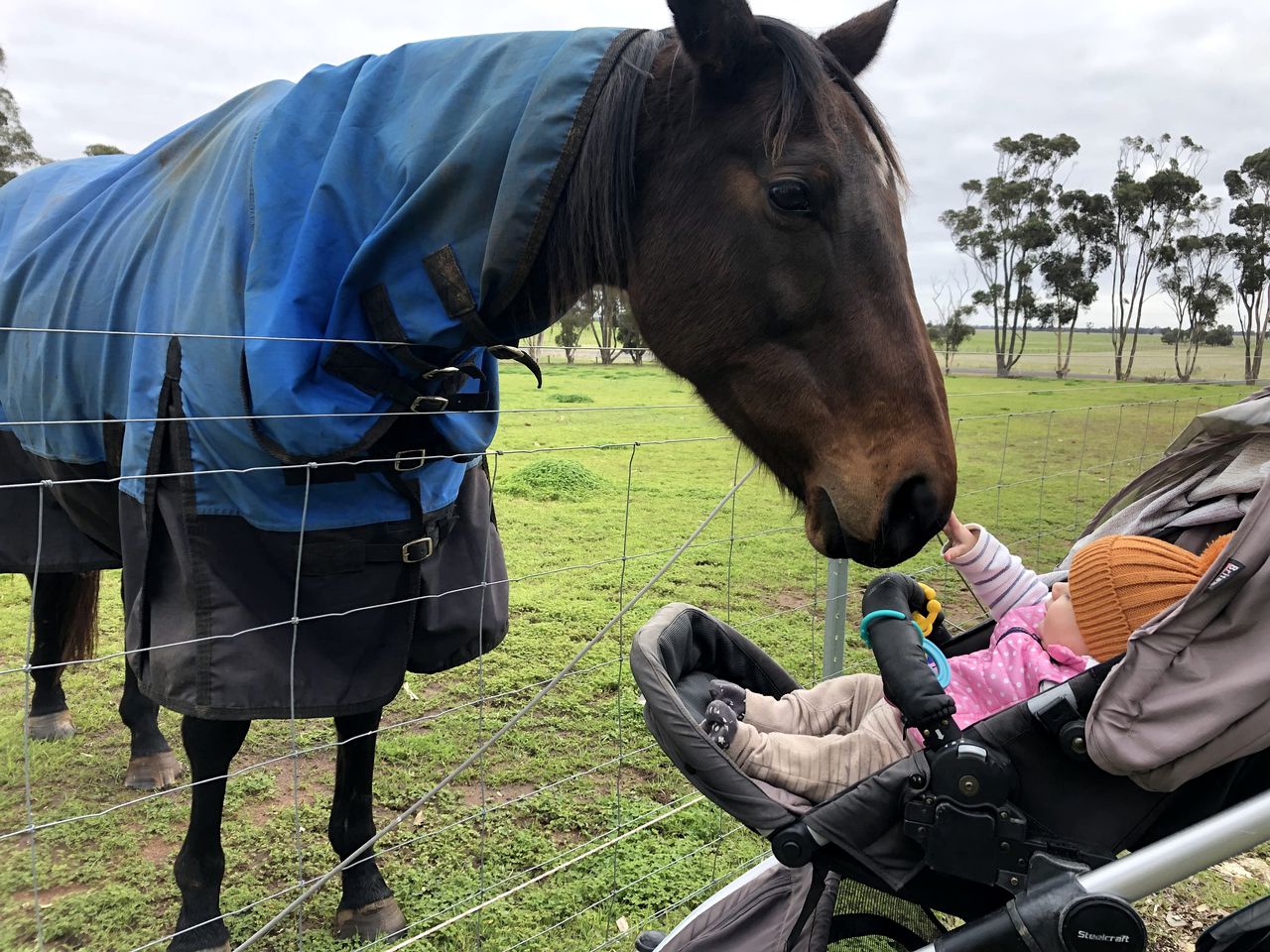 Miniature Glamping on a Victoria Farm, Ideal to Discover the Grampians