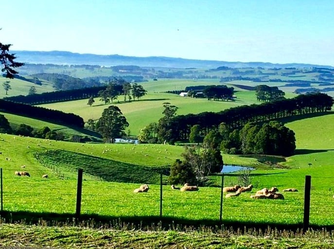 Tents (Trafalgar, Victoria, Australia)