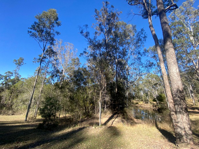 Tiny House (Australia, North Tamborine, Queensland)