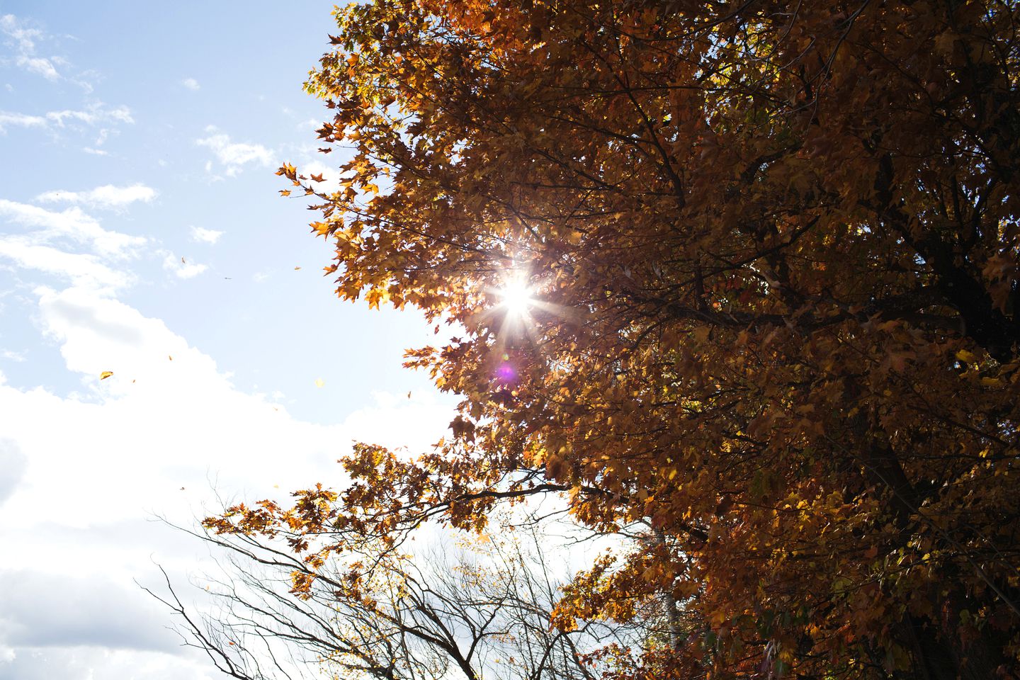 Spacious Modern Cabin with a Fire Pit near Apostle Islands in Wisconsin