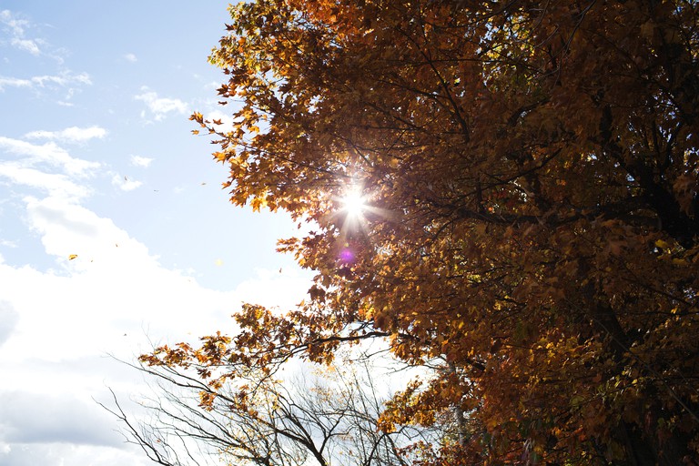 Cabins (Ashland, Wisconsin, United States)