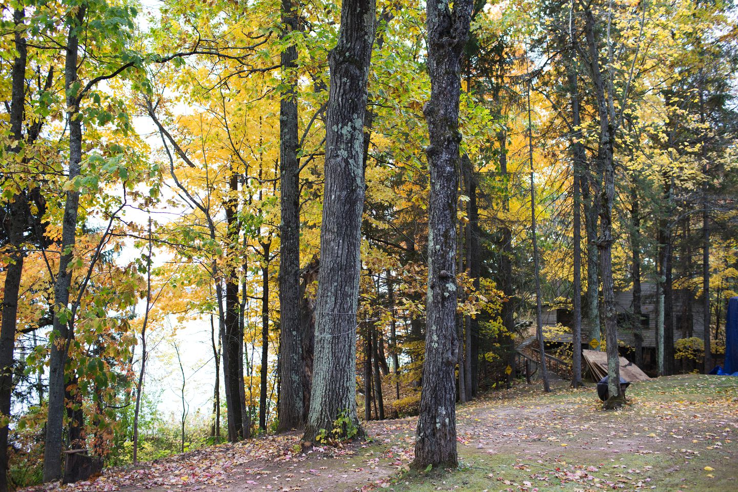 Beautiful Lakeside Cabin with a Stone Fireplace near Cornucopia, Wisconsin