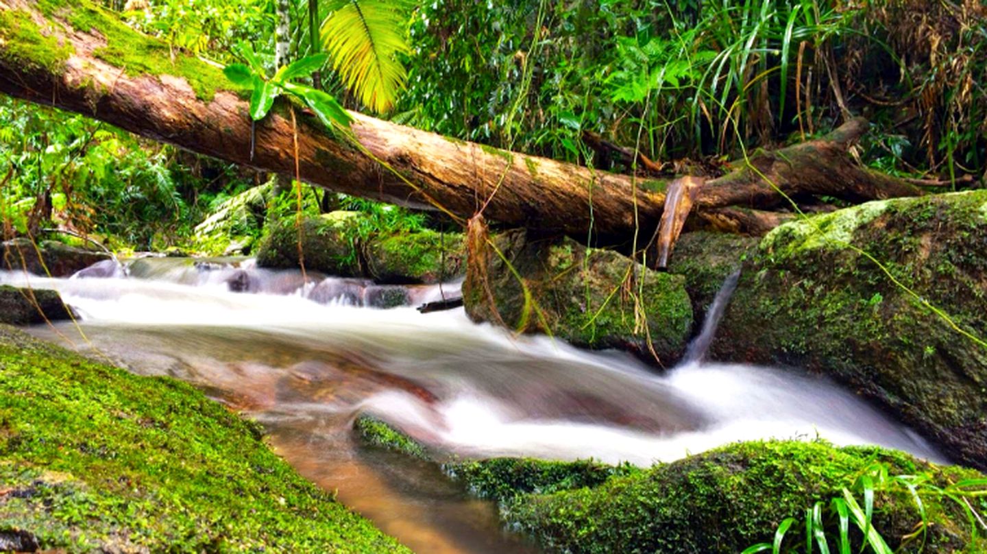 Romantic Rainforest Getaway near Gadgarra National Park in Queensland