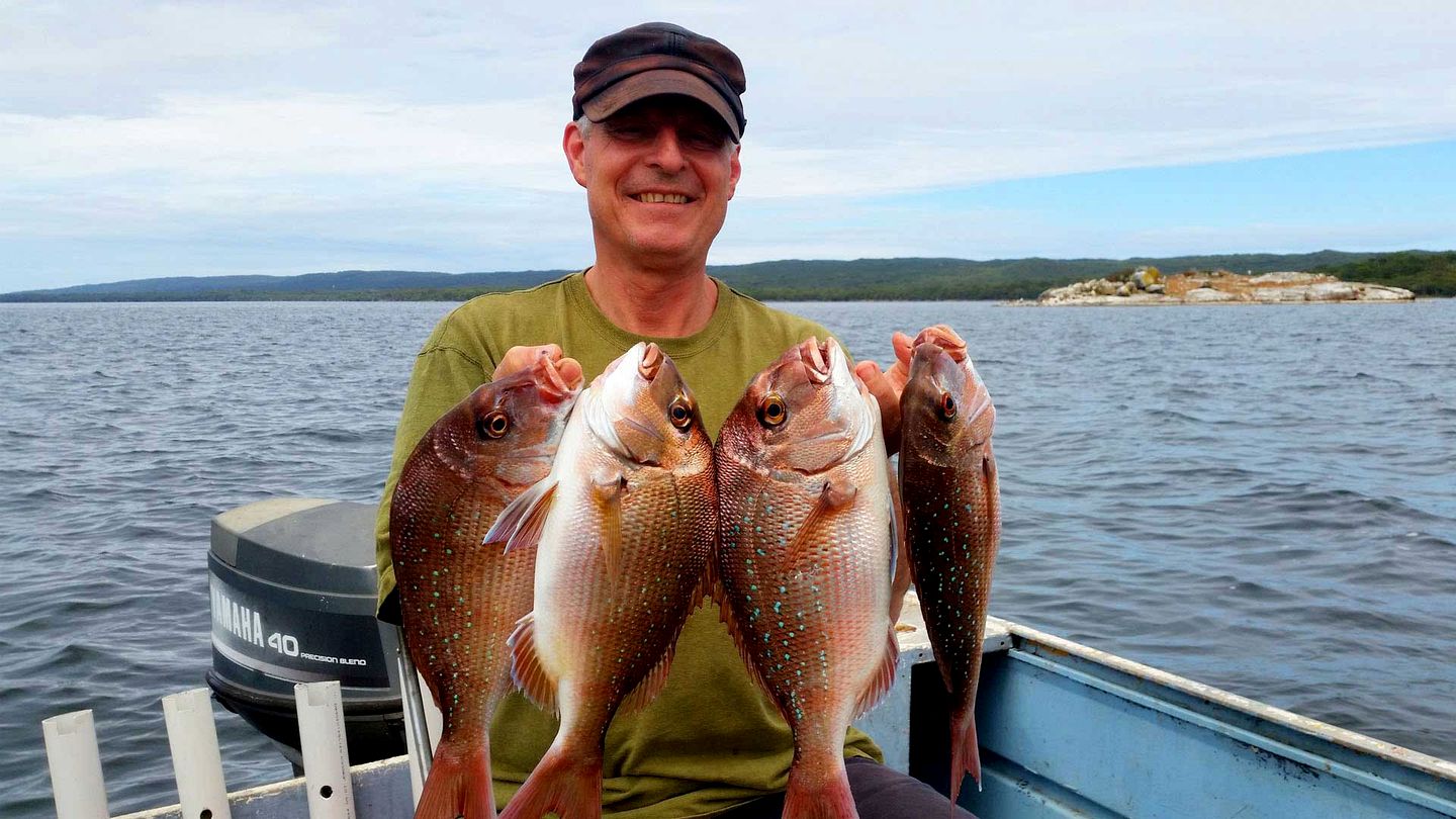 Modern and Spacious Vacation Rental in the Trees near West Cape Howe, Australia