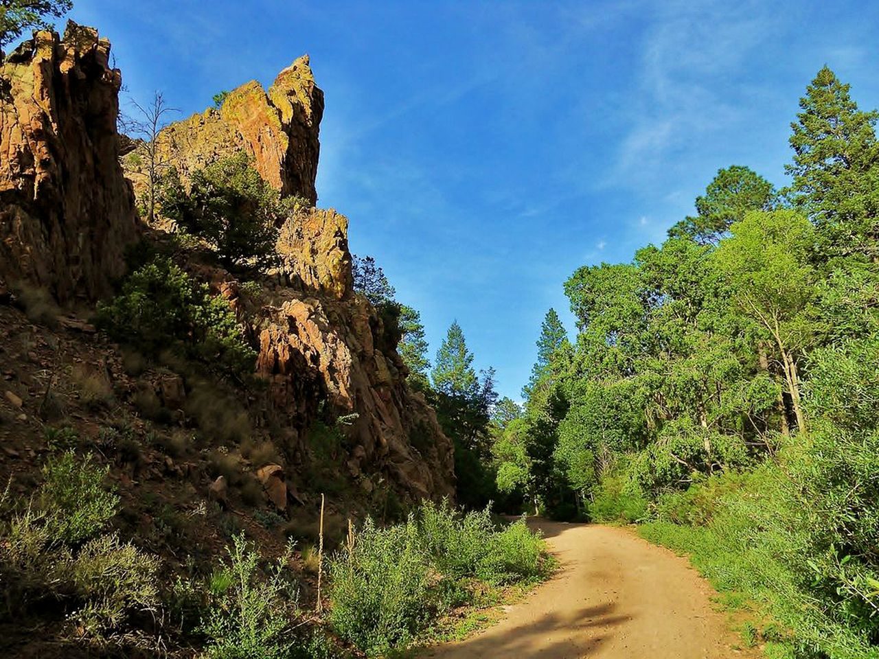 Superb Getaway Cabin Nestled in Santa Fe National Forest, New Mexico