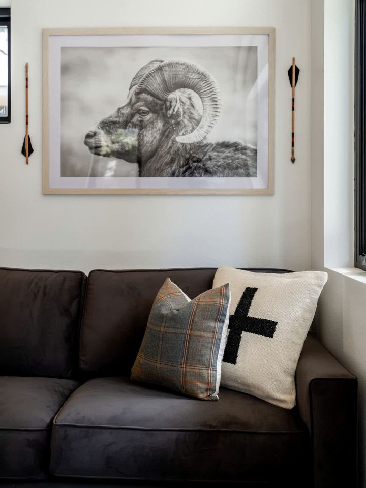 Modern Cabin Studio in Grant, CO