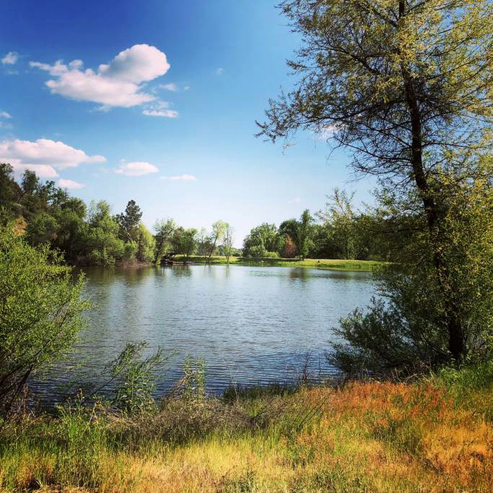 Modern Cabin Rental near Sequoia National Park in Badger, California