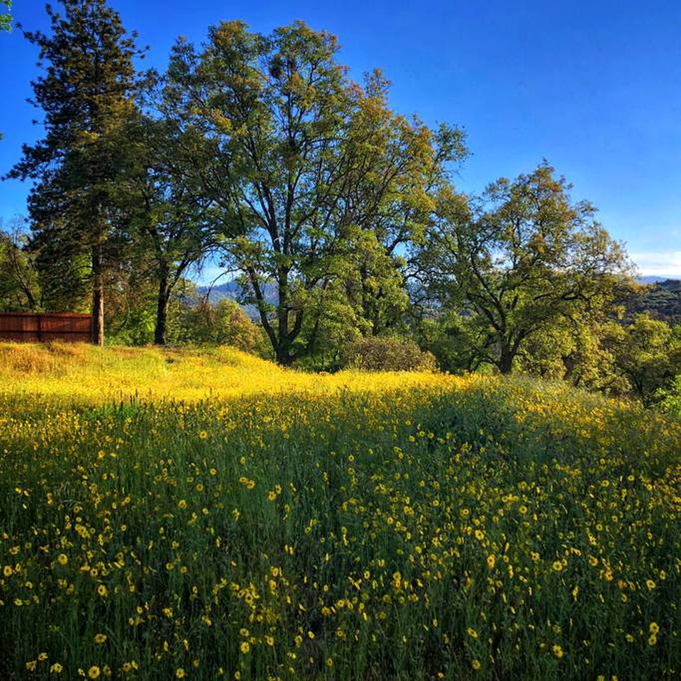 Modern Cabin Rental near Sequoia National Park in Badger, California