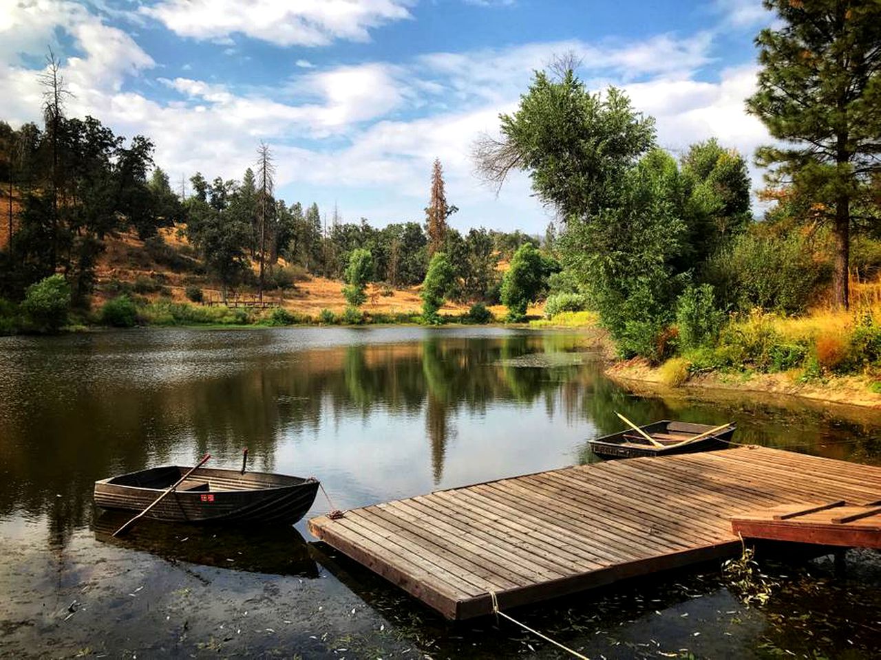 Modern Cabin Rental near Sequoia National Park in Badger, California