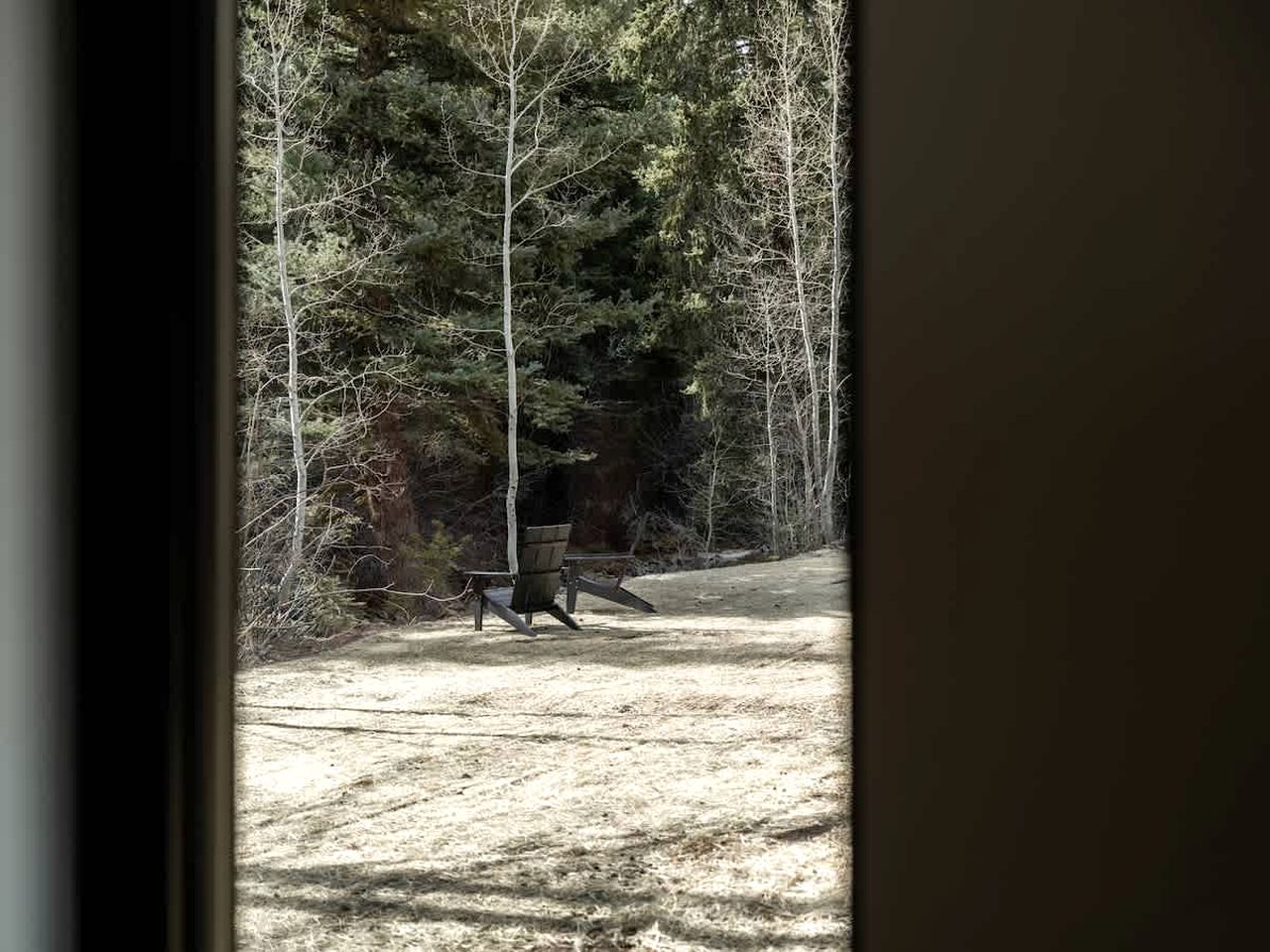 Incredible Cabin by the Creek for a Peaceful Getaway in Nature in Grant, Colorado