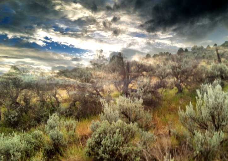 Cabins (Carbondale, Colorado, United States)