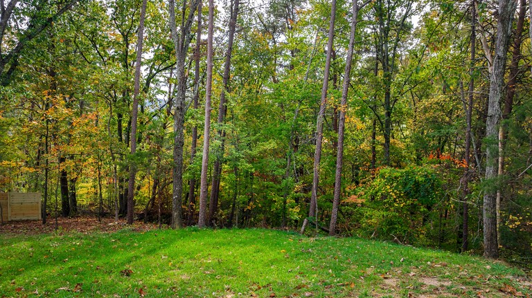 Cabins (United States of America, Fort Payne, Alabama)