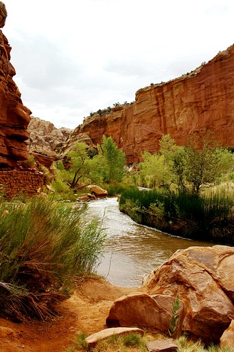 Cabins (United States of America, Torrey, Utah)