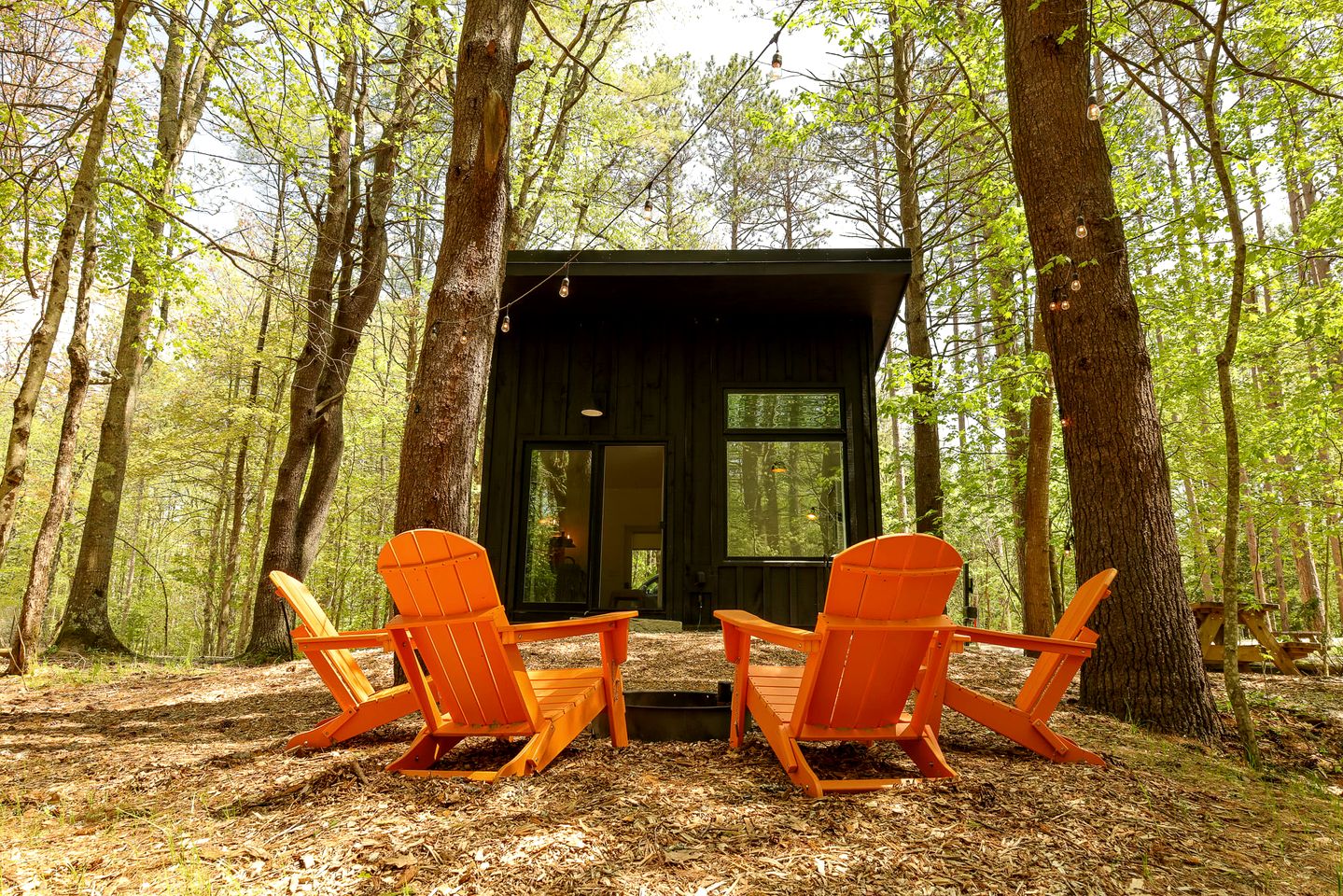 Magical Cabin with Peaceful Surrounding in Freeport, Maine