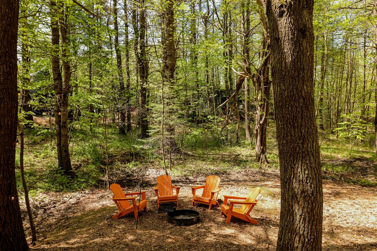 Outstanding Cabin in the Woods in Freeport, Maine