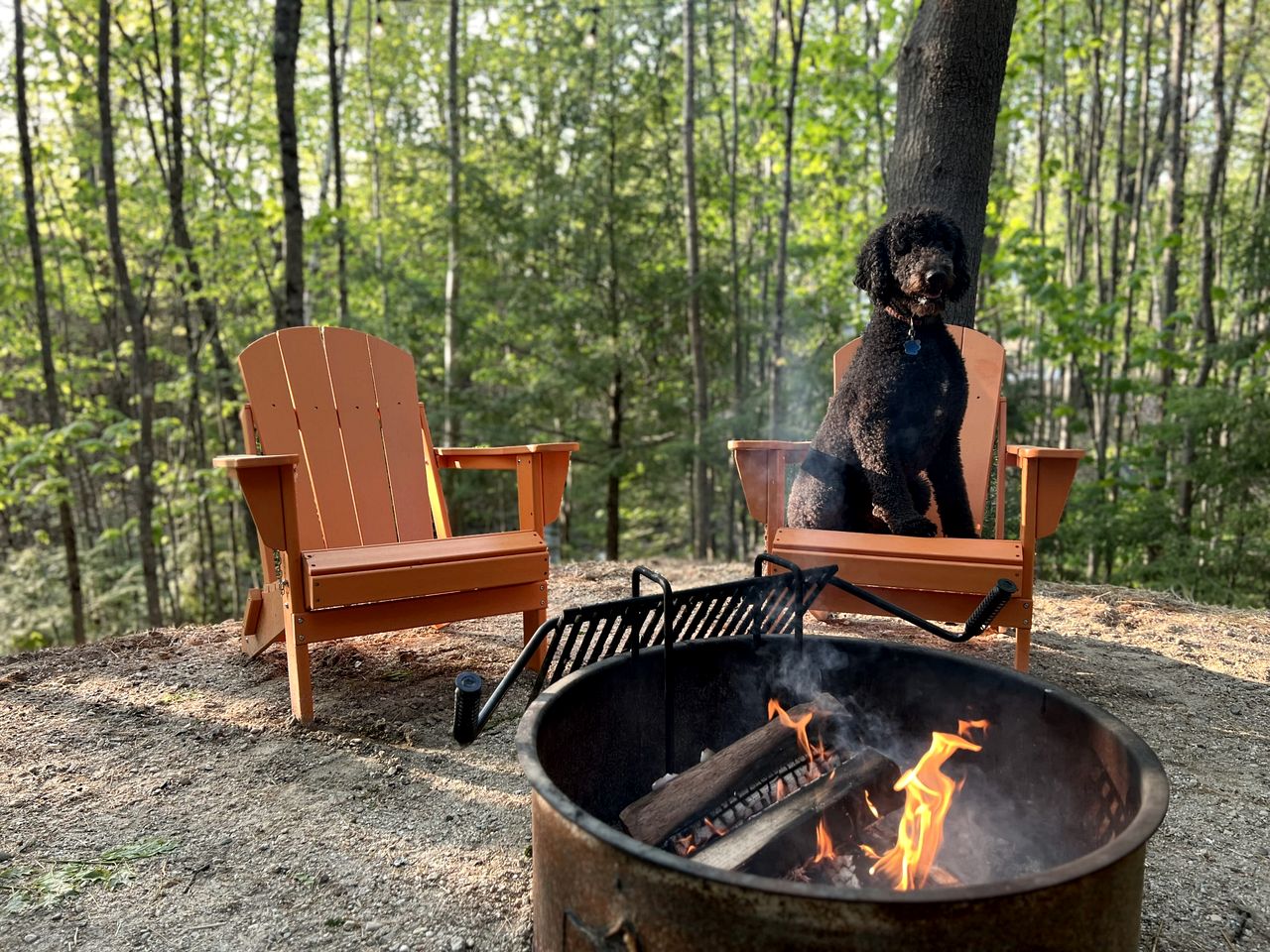 Outstanding Cabin in the Woods in Freeport, Maine