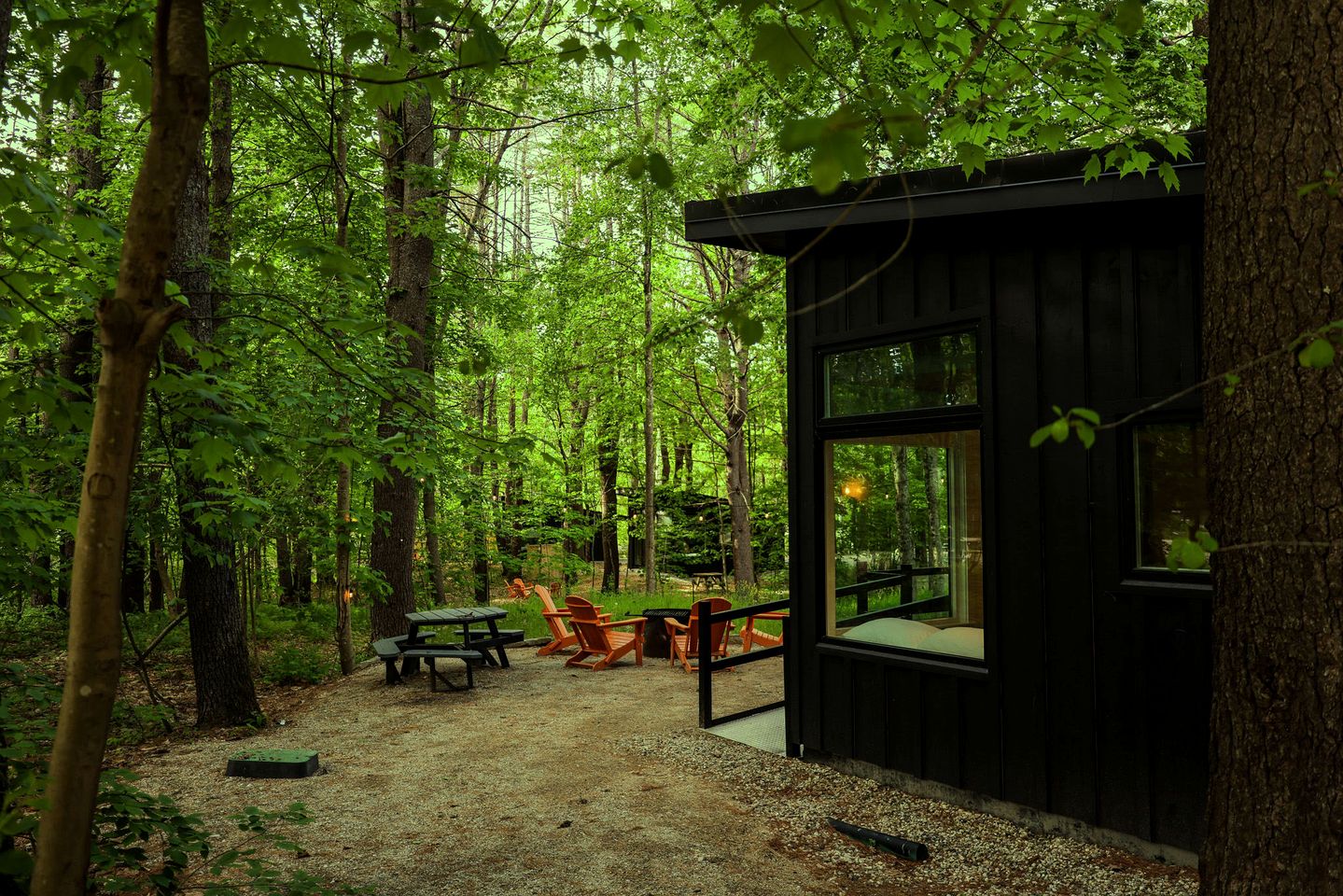 Luminous Cabin ADA Accessible in Freeport, Maine