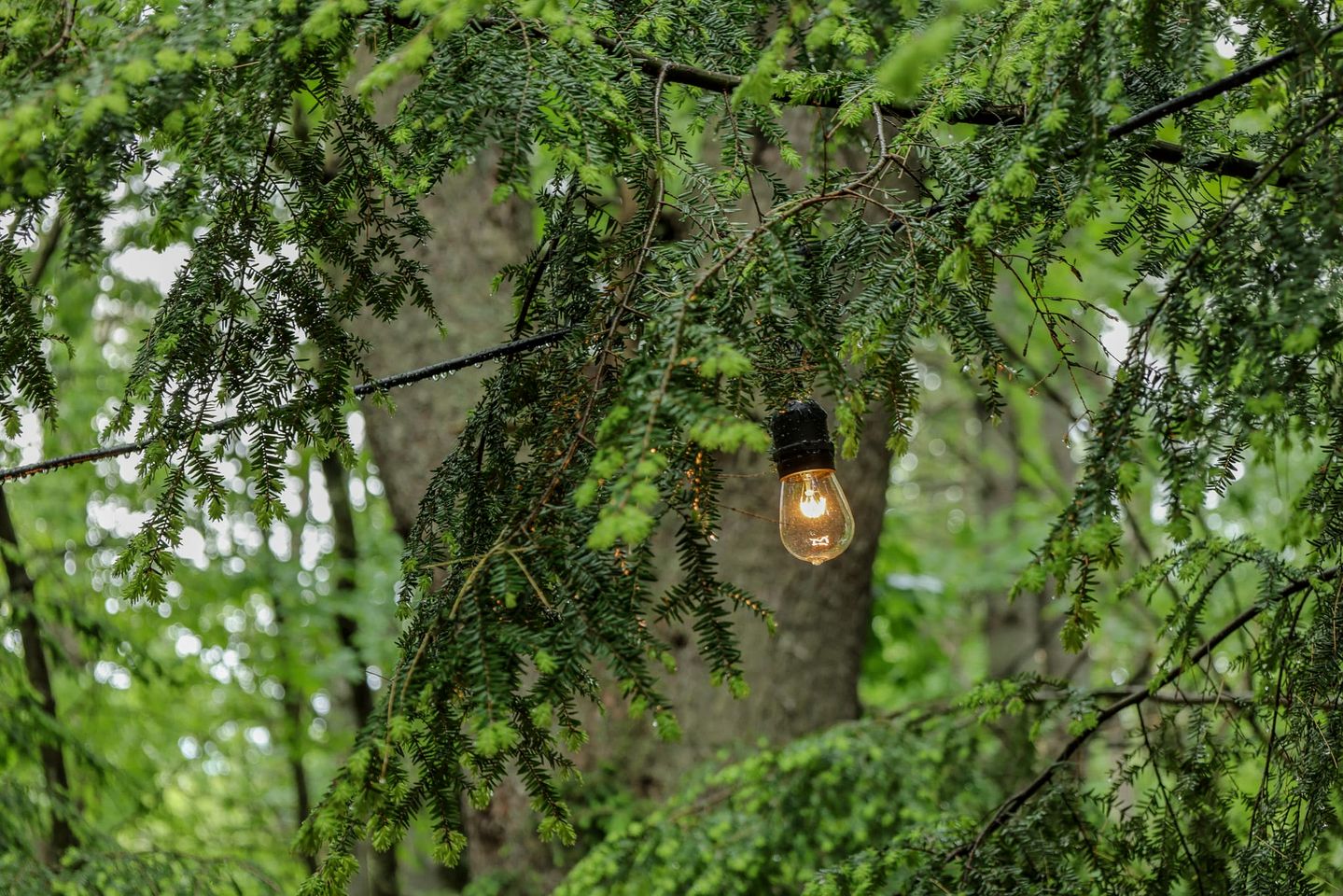 Beautiful Cabin with Modern Indoor Space and Fire Pit in Freeport, Maine