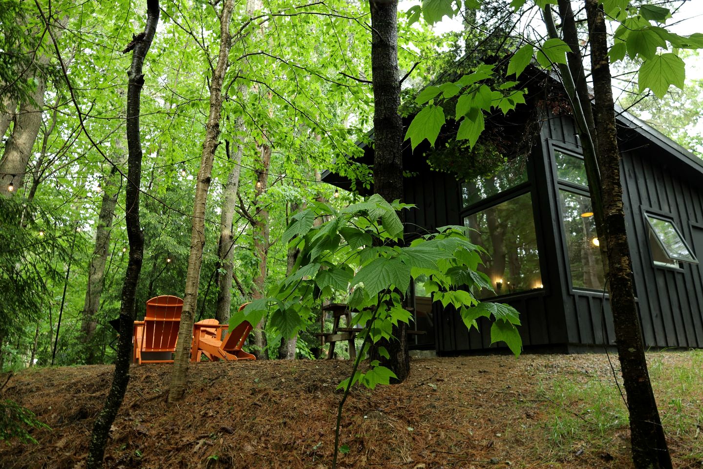 Beautiful Cabin with Modern Indoor Space and Fire Pit in Freeport, Maine
