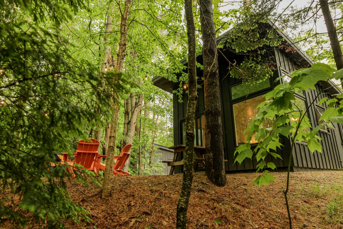 Beautiful Cabin with Modern Indoor Space and Fire Pit in Freeport, Maine