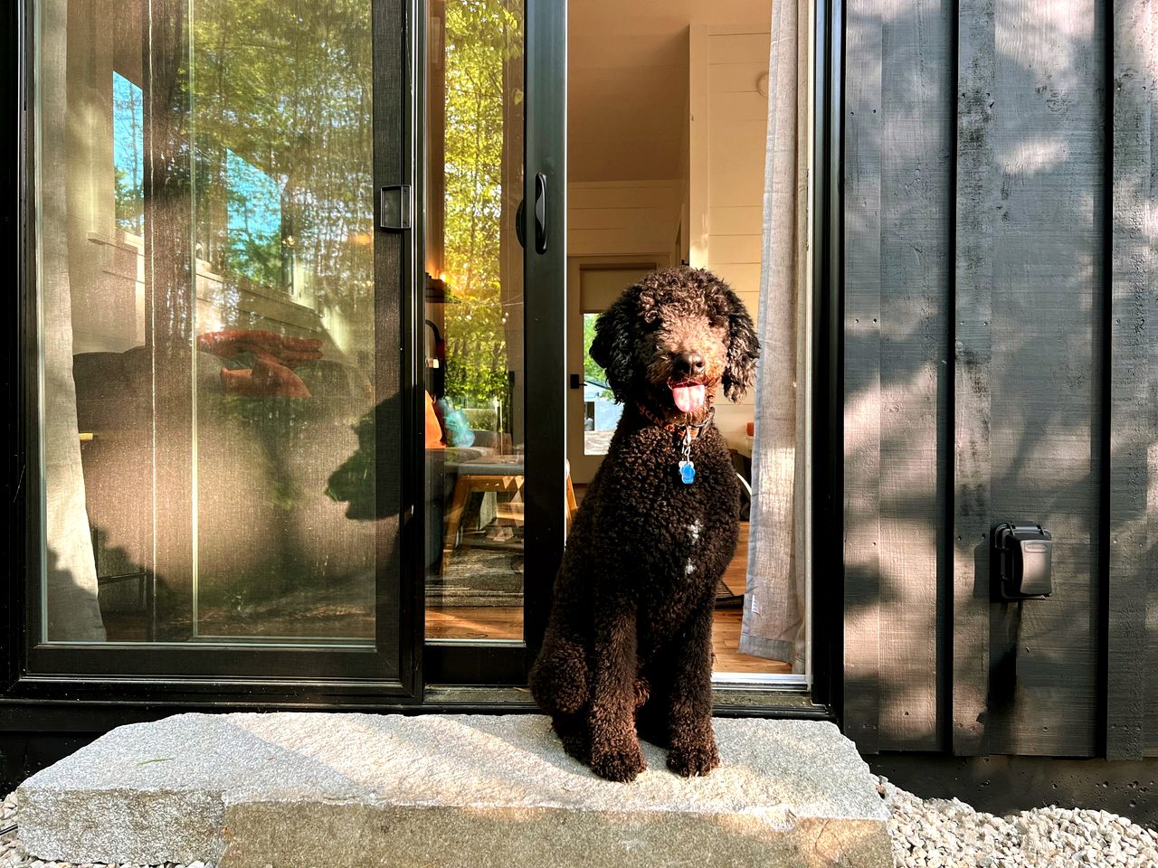 Dog-Friendly Cabin in Freeport, Maine