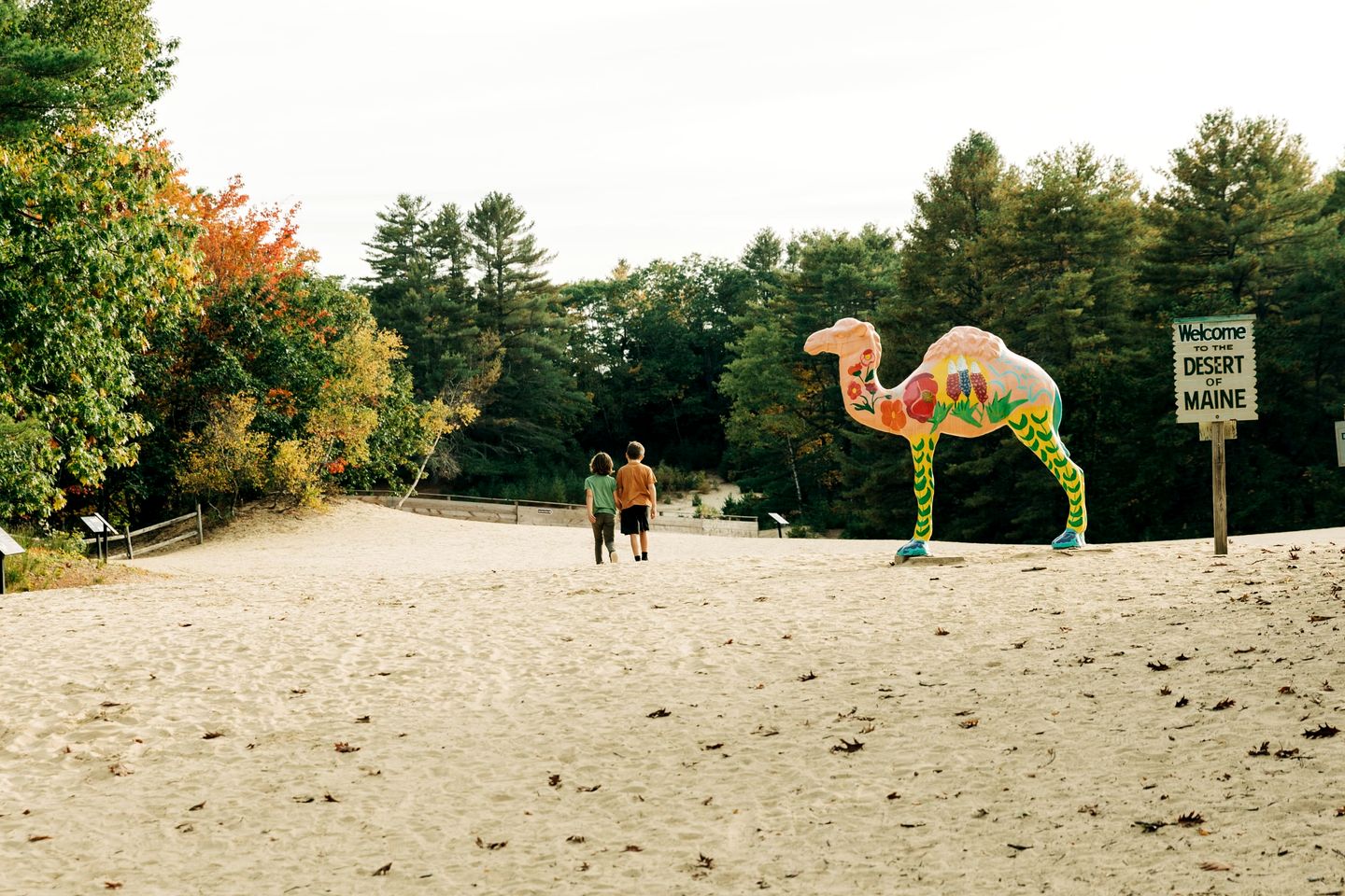 Dog-Friendly Cabin in Freeport, Maine