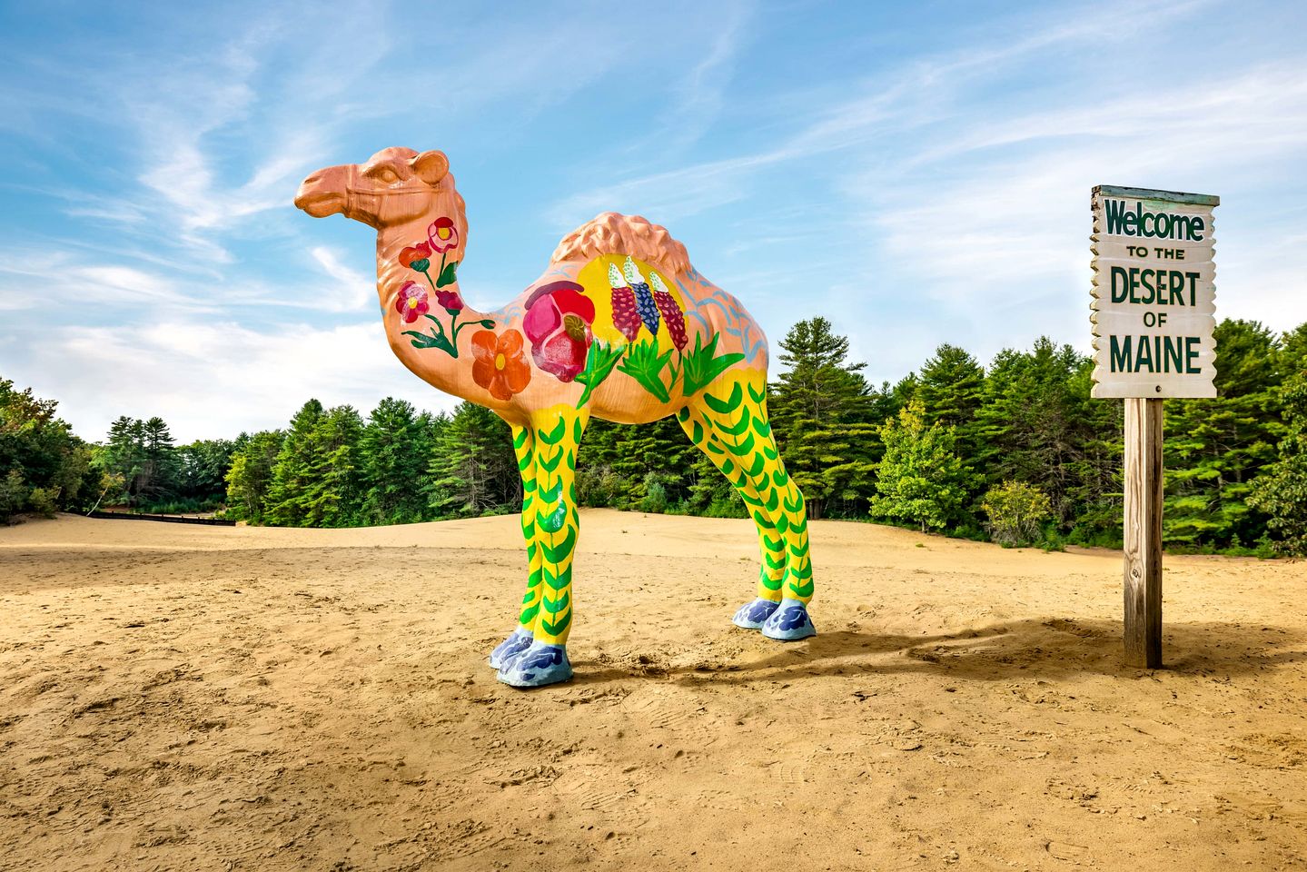 Dog-Friendly Cabin in Freeport, Maine