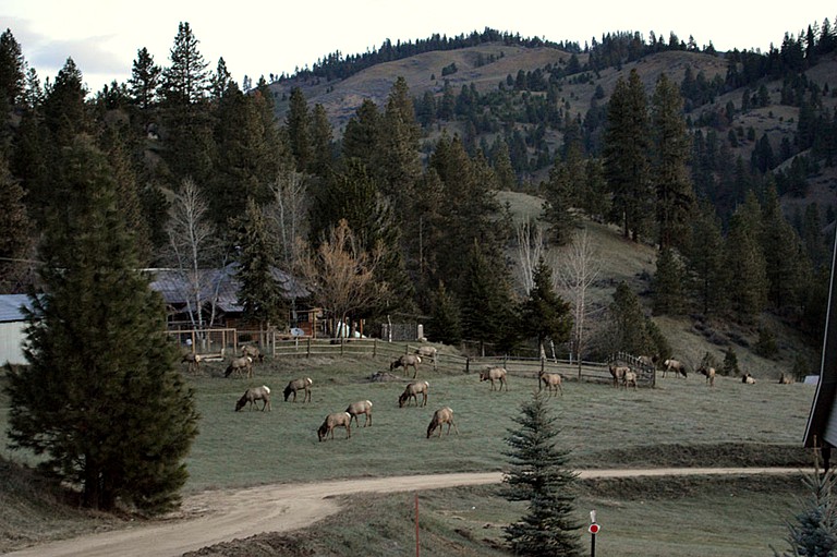 Cabins (Boise, Idaho, United States)