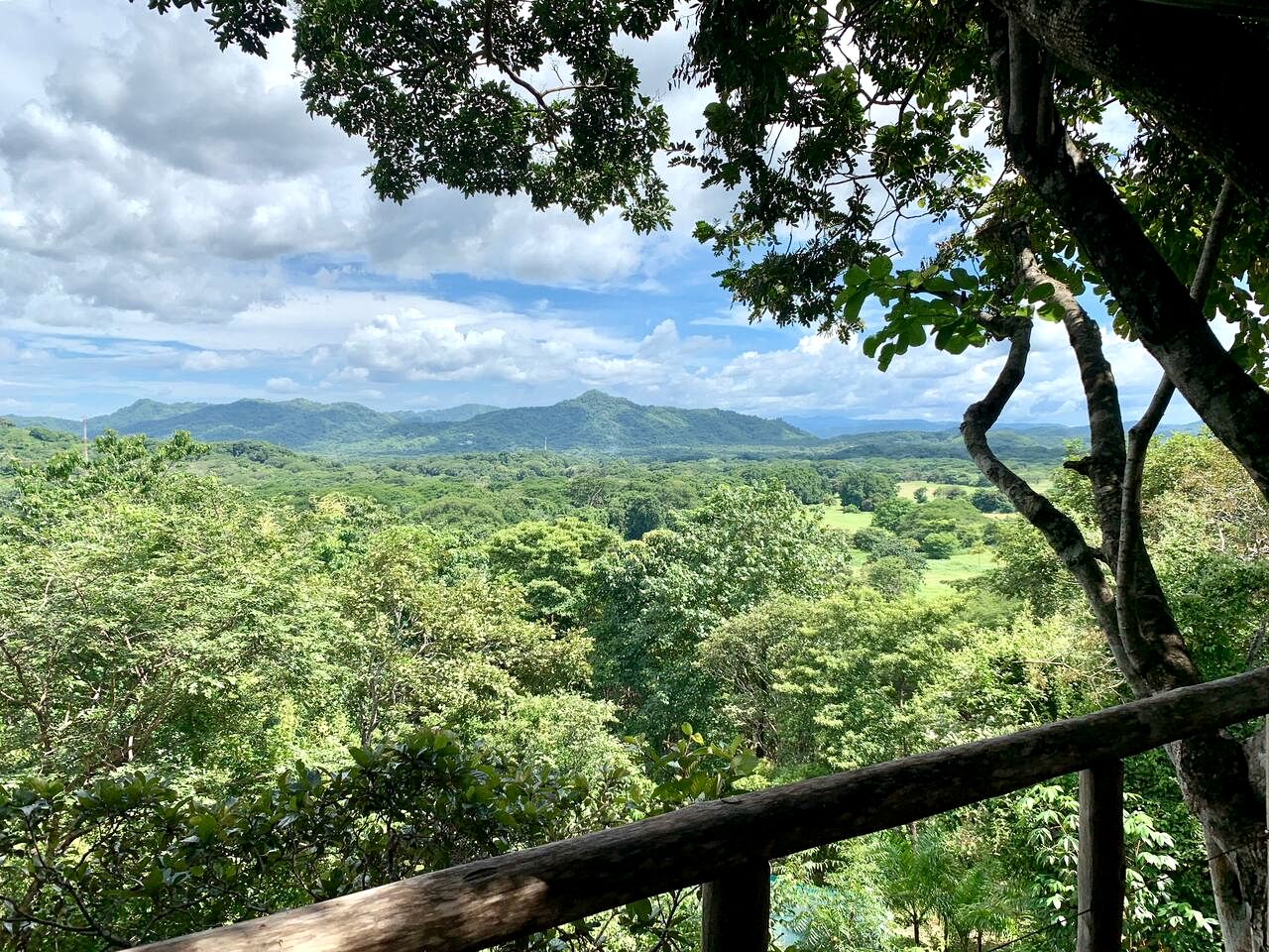 Stylish Eco Treehouse with Panoramic Views near Playa Grande, Matapalo Costa Rica