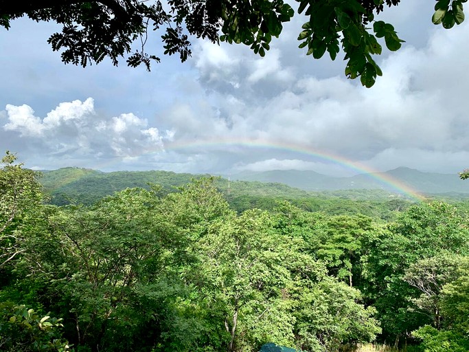 Tree Houses (Costa Rica, Matapalo, Puntarenas)