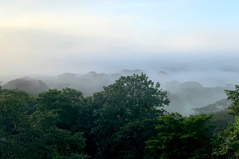 Tree Houses (Costa Rica, Matapalo, Puntarenas)