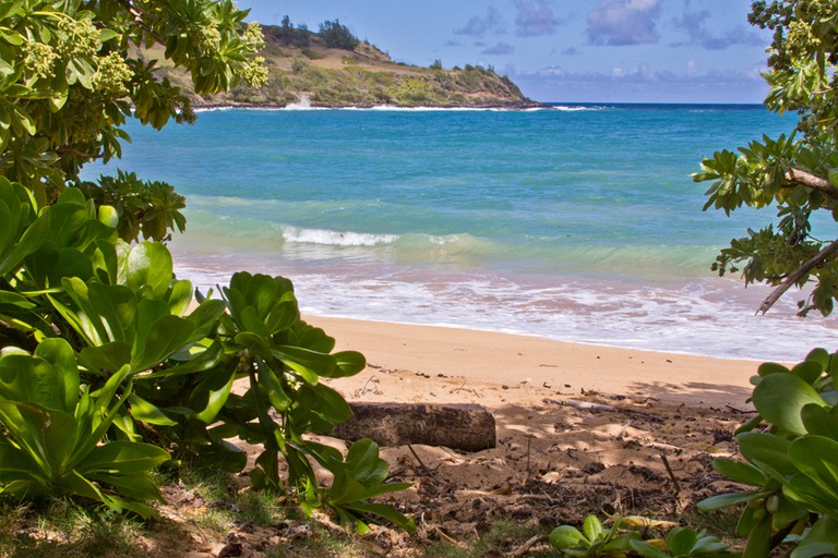 Beach Houses (Kilauea, Hawaii, United States)