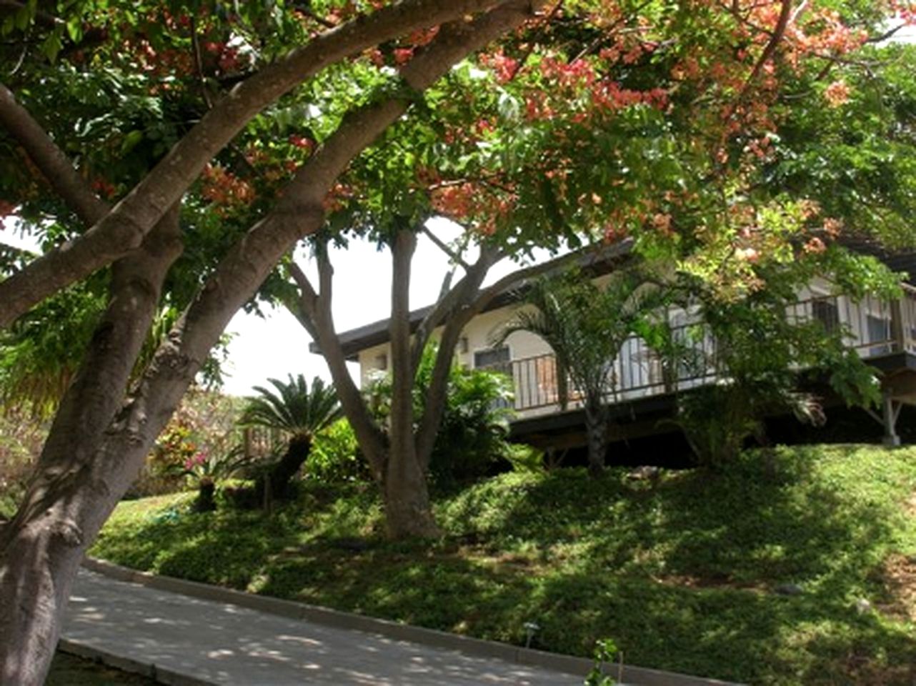 Elegant Cottage with Unbelievable Ocean Views in Molokai, Hawaii