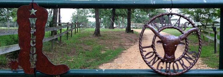 Cabins (Waelder, Texas, United States)