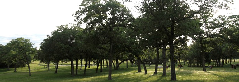 Cabins (Waelder, Texas, United States)