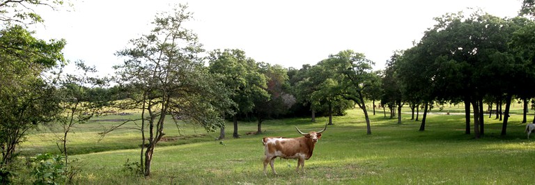 Cabins (Waelder, Texas, United States)