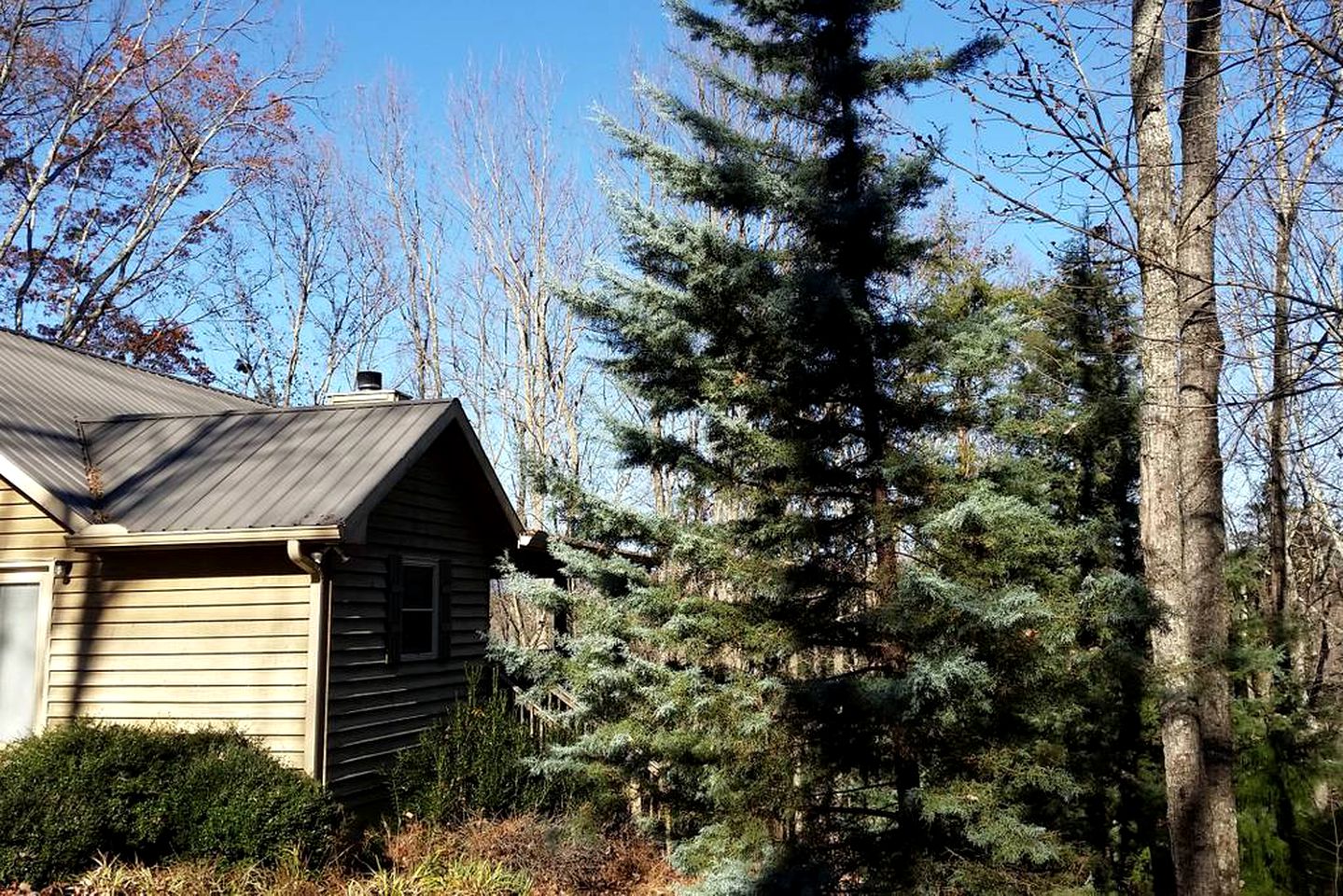 Charming Woodland Cabin Perfect for a Hiking Trip in Dahlonega, Georgia