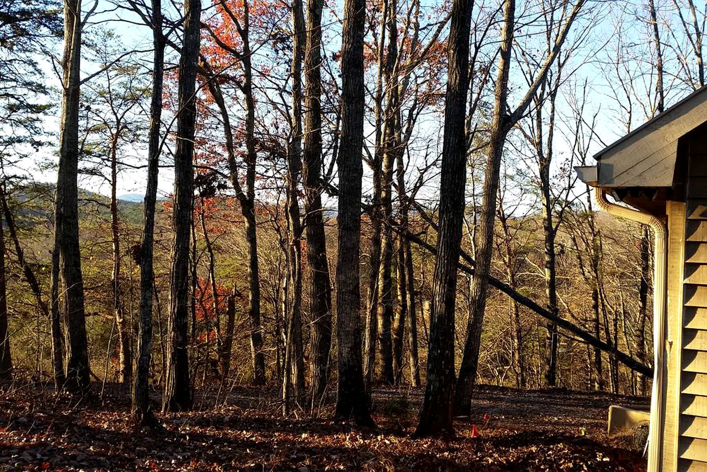 Charming Woodland Cabin Perfect for a Hiking Trip in Dahlonega, Georgia
