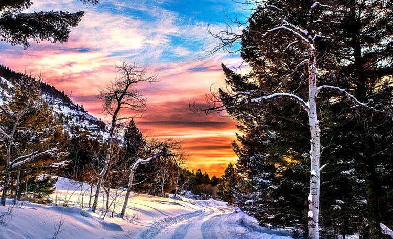 Log Cabins (Big Timber, Montana, United States)