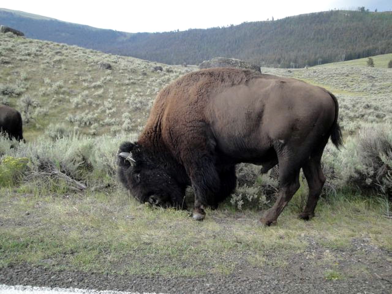 Secluded Lodge Rental for Large Groups in Lewis and Clark National Forest, Montana