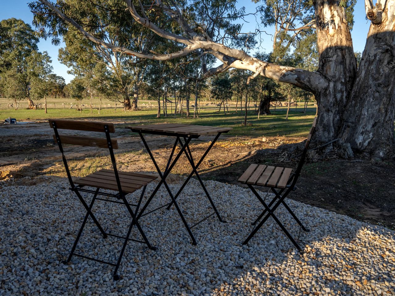Peaceful Farm Stay Tiny House with Vineyard Views near Avoca, Warrenmang Victoria