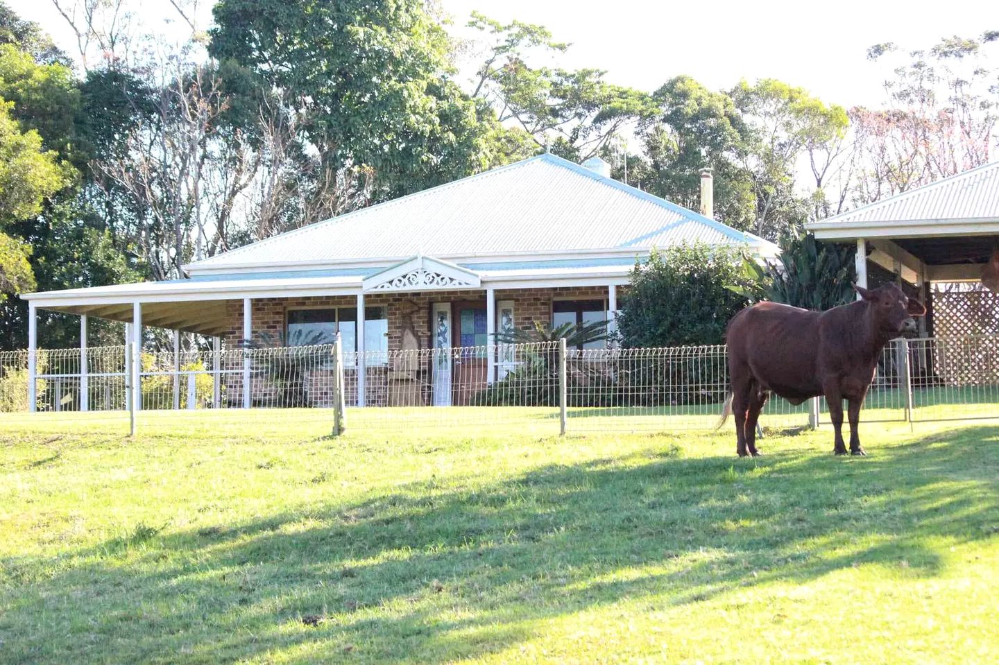 Bright Cottage Rental Surrounded by Nature in Montville near the Sunshine Coast