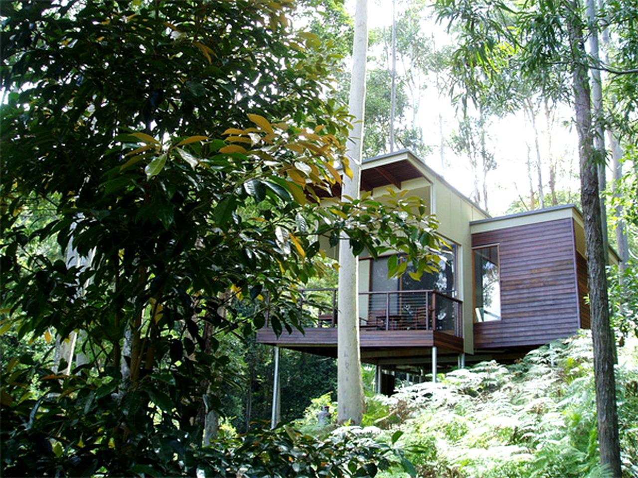 Rainforest Cabin in Queensland | Glamping Hub