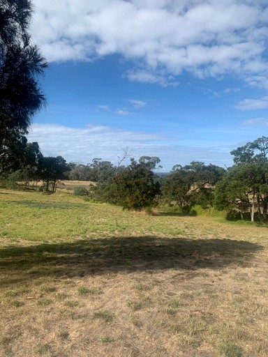 Tiny Houses (Australia, Opossum Bay, Tasmania)