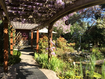 Luxury Camping In Bellingham Glamping Hub