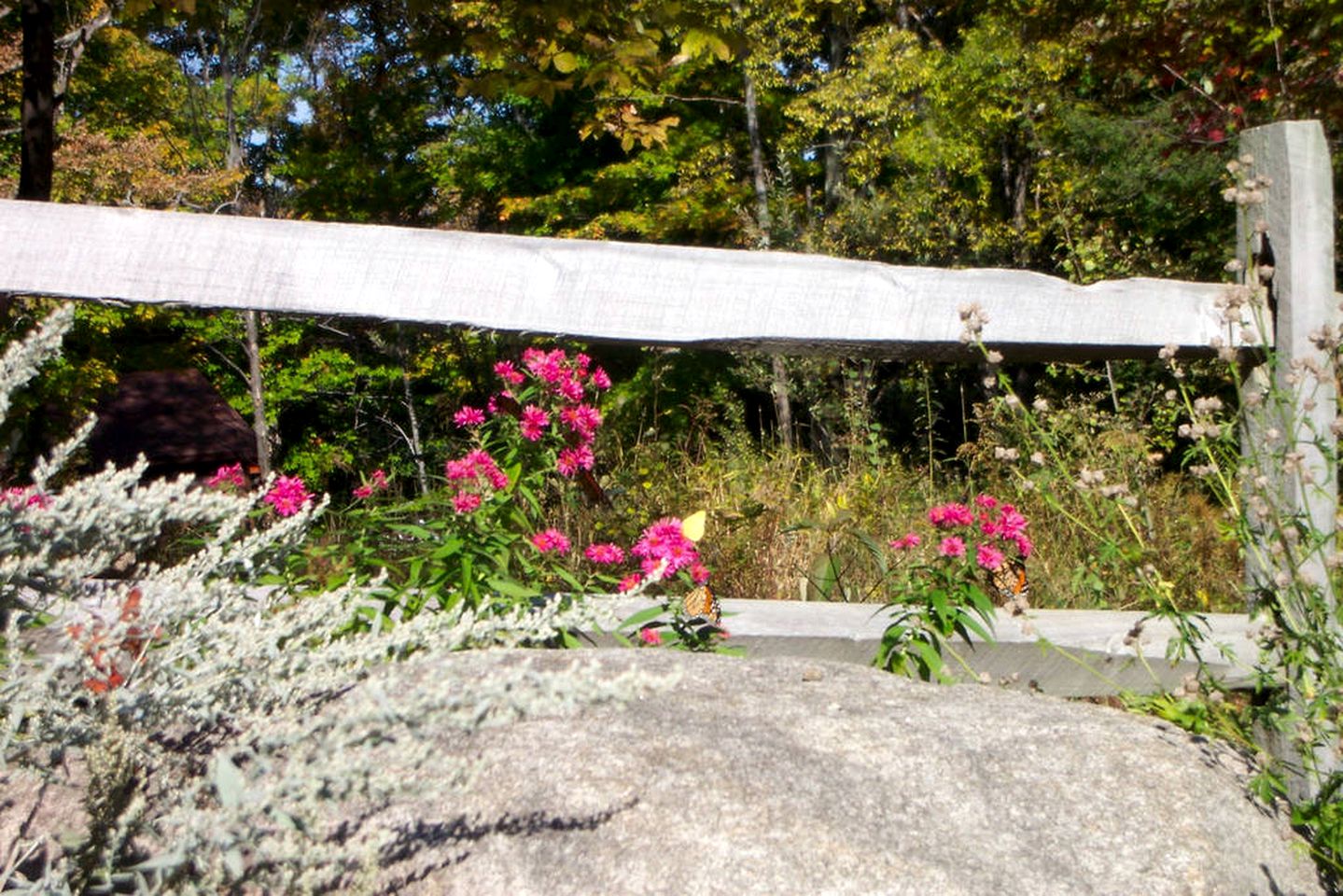 Secluded Cottage Rental in the Woods in Stony Creek, New York