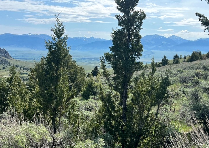 Cabins (United States of America, Ennis, Montana)