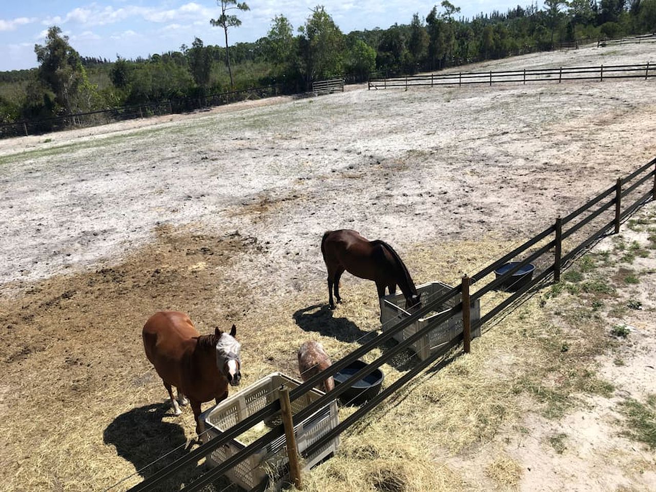 Picturesque Family-Friendly Cabin Rental for a Vacation by the Ocean on Pine Island, Florida