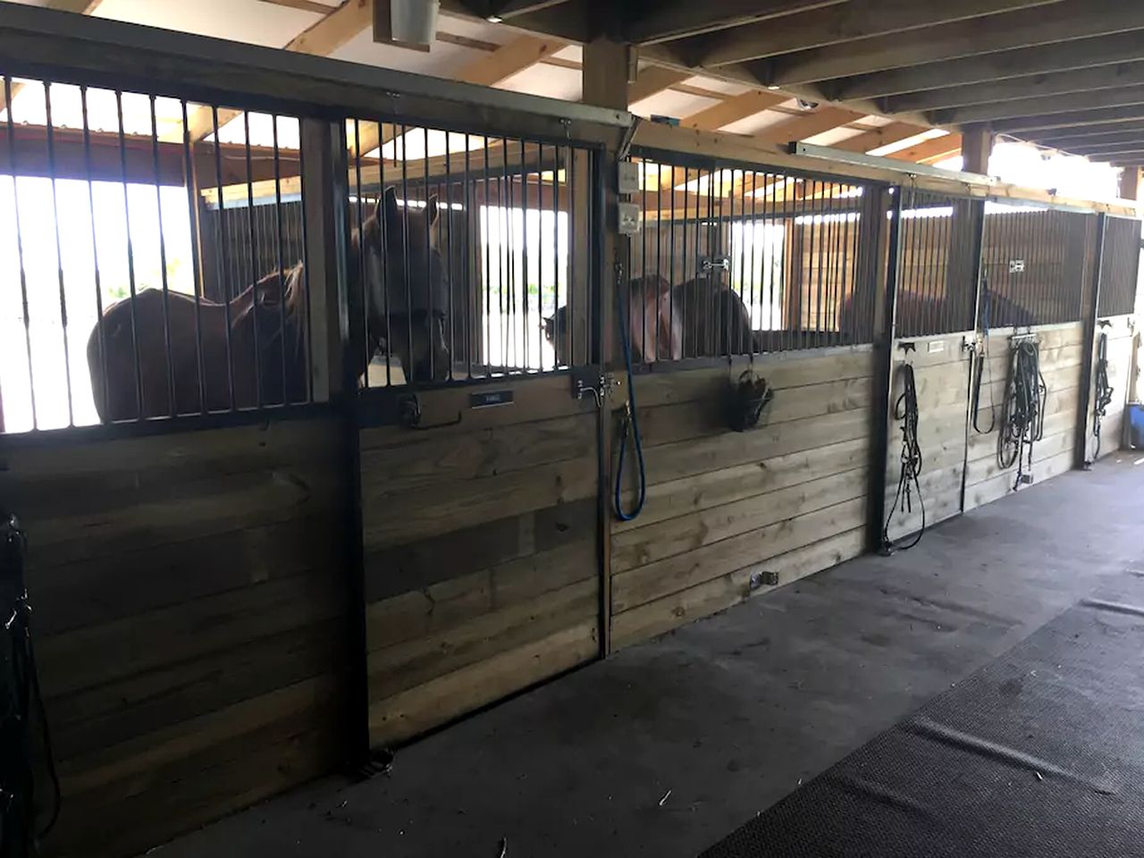 Picturesque Family-Friendly Cabin Rental for a Vacation by the Ocean on Pine Island, Florida